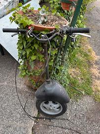 Forcella vespa