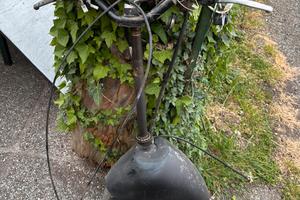 Forcella vespa
