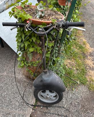 Forcella vespa