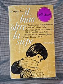 Harper Lee, Il buio oltre la siepe