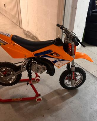 Minimoto Testi