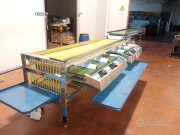 Calibratrice ciliegie