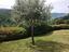 Immagine 7