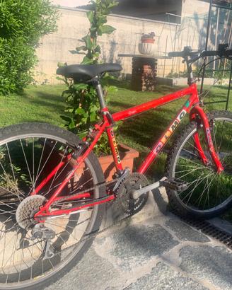 Bicicletta MTB