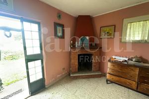 Terreno Agricolo Orte [Cod. rif 3223553VCG]