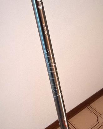 canna da pesca bolognese