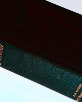 🌐 Libro Dizionario Antico 