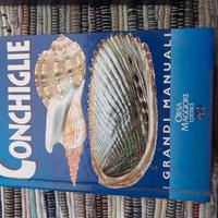 Manuale Conchiglie
