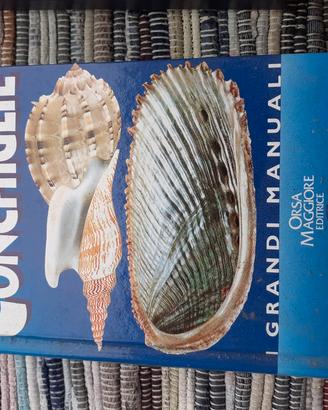 Manuale Conchiglie