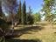 Immagine 14
