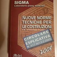Nuove norme tecniche per costruzioni 2008 C. 617