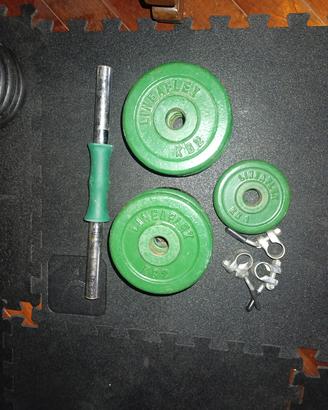 manubrio 20 kg 