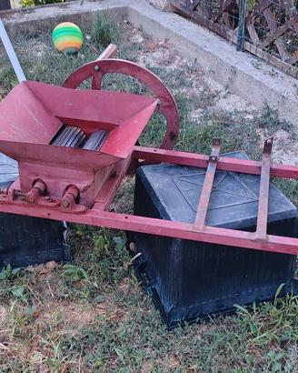 Pigiatrice Uva