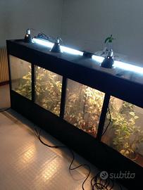 Batteria 4 terrari per camaleonti su misura