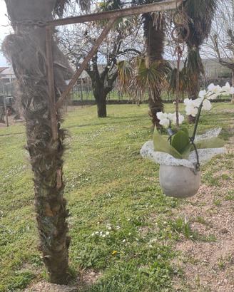 porta fiori con catenella e varie