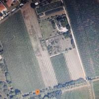 San pietro inc terreno agricolo zona d.o.c. clas