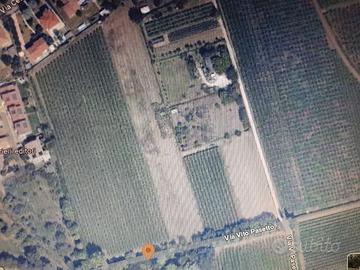 San pietro inc terreno agricolo zona d.o.c. clas