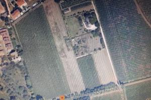 San pietro inc terreno agricolo zona d.o.c. clas