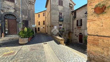 4 LOCALI A GROTTE DI CASTRO