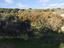 Immagine 9