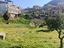 Immagine 22