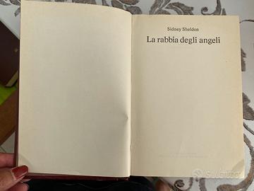 Romanzo la rabbia degli angeli Sheldon