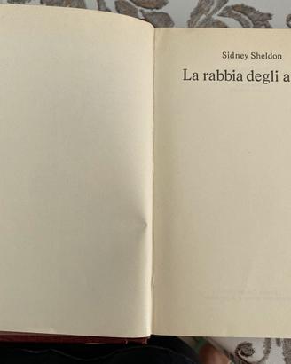Romanzo la rabbia degli angeli Sheldon
