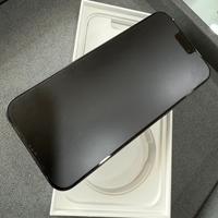 Iphone pro max 256GB dual sim
