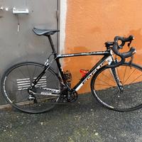 Focus izalco