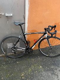 Focus izalco