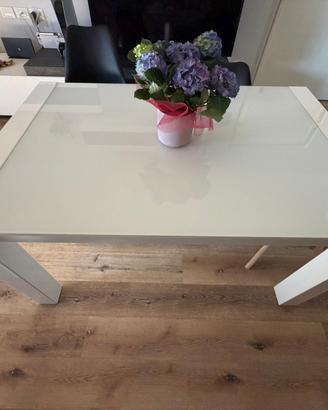 Tavolo wood bianco