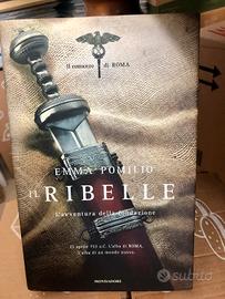 Il ribelle, un romanzo di Emma Pomilio
