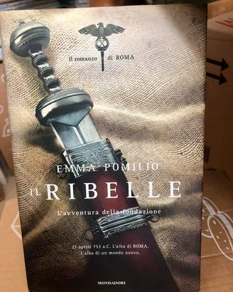 Il ribelle, un romanzo di Emma Pomilio