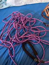 Lunghina cane 8/10 mt