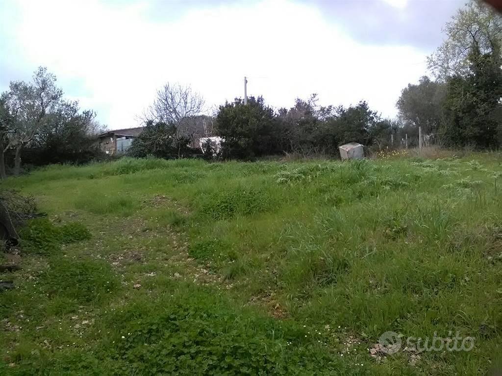 Terreno di 900 m² a Monte Romano - Vista 3