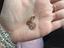 Immagine 2