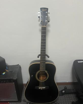 chitarra acustica ibanez