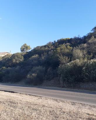 Terreno 1200 mq panoramico