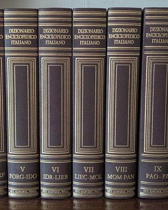 TRECCANI - DIZIONARIO ENCICLOPEDICO ITALIANO