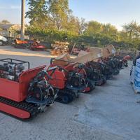 Motocarriole Professionali 