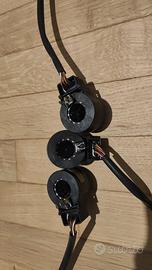 Bobine Fujikori trial LG