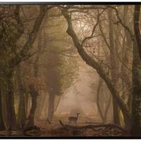 Quadro con cornice Ikea Björksta