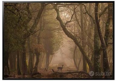 Quadro con cornice Ikea Björksta