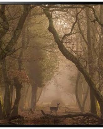 Quadro con cornice Ikea Björksta