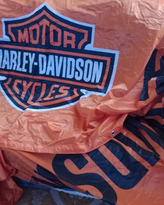 Striscione Harley Davidson