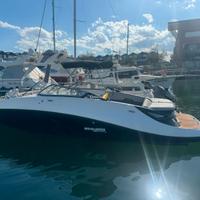 Sea Doo Challenger 230Wake 430 hp