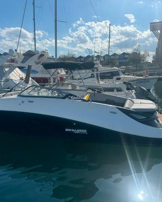 Sea Doo Challenger 230Wake 430 hp