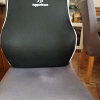 Supportiback 2 Cuscini lombare ergonomico