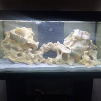 Acquario 100 litri completo