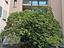 Immagine 22